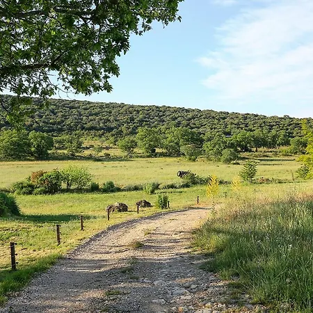Mas Des Claparedes Orman Evi Montoulieu (Herault)