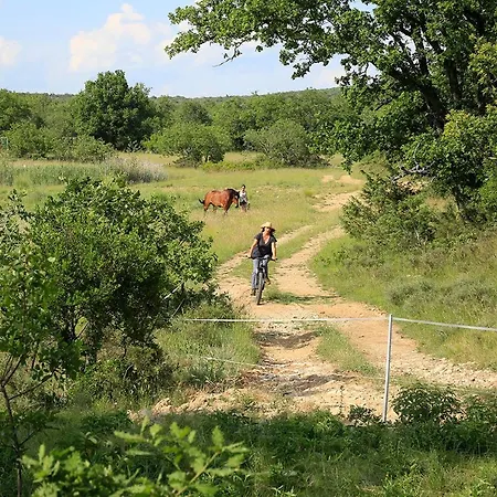 Mas Des Claparedes Montoulieu (Herault)