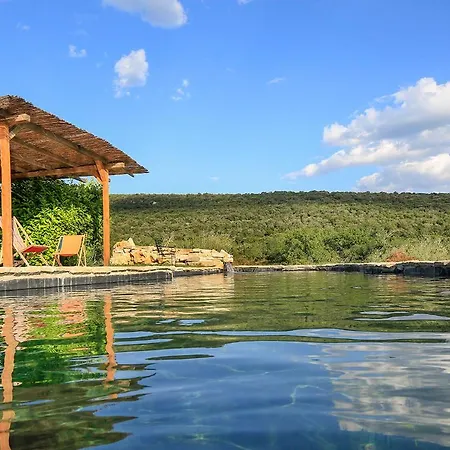 Orman Evi Mas Des Claparedes *